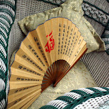 My Fan