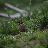 IMG_8670.JPG