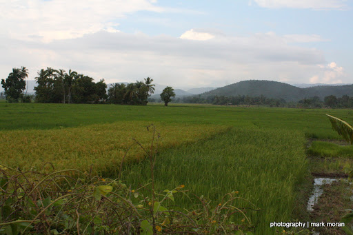 Looks a lot like South East Asia (Day 6: Thu, 9/17)