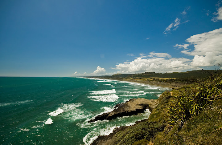 Muriwai Beach from above