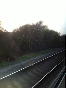 a train tracks with trees in the background