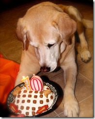 party_animals_photo_contest_87591_xl party_animals_photo_contest_87591_xl