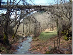 DSCN2613