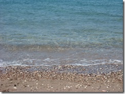 DSCN3152