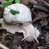 20090610 044.JPG