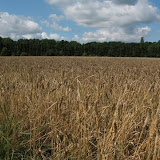 20090726 046.JPG