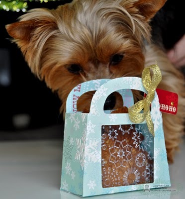 [PassionatelyArtistic12-4-10-7CLee[3].jpg]