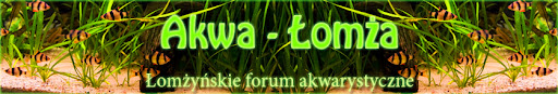 Akwa - Łomża