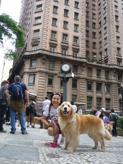 Cãonhecendo São Paulo (252)