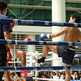 DSC02530.JPG