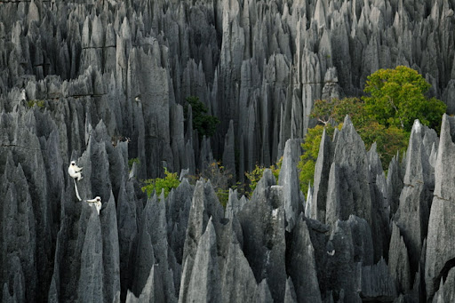 Uniknya Kota Batu Kapur Di Madagascar [ www.BlogApaAja.com ]