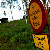 Midsommar 2010