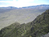 IMG_1163.JPG Photo