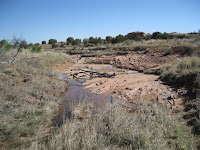 IMG_1462.JPG Photo