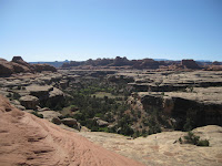 IMG_1463.JPG Photo