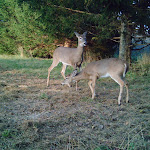 10-23-2010thru10-26-10 021.jpg 10-23-2010thru10-26-10 021.jpg