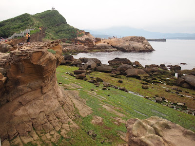 P6264545.JPG