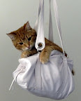 http://lh5.ggpht.com/_iTVwe9T6djs/SbsHvyxKyzI/AAAAAAAACTc/c42_rXjcqI4/s144/P1040728.JPG