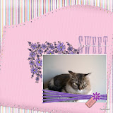 sweetmadonna.jpg