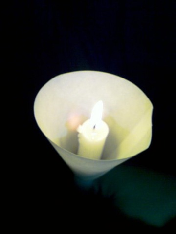 [4591_92078574479_755954479_1850350_7030555_n[3].jpg]