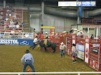 bull riding