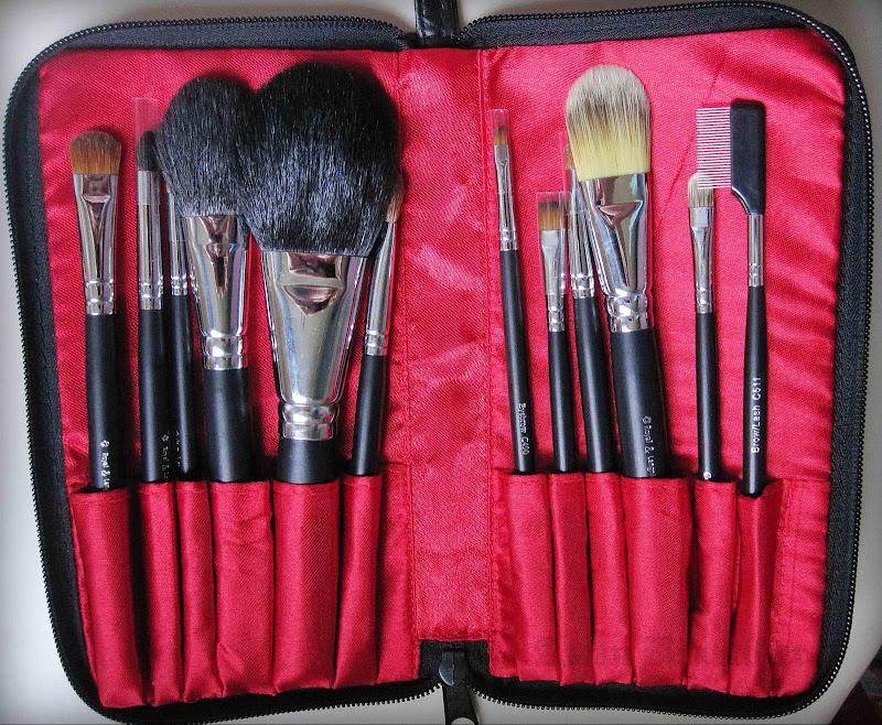 Royal & Langnickel Silk Pro 12-Piece Professional Brush Set