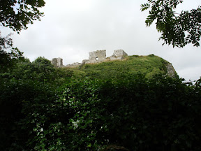 DSC05331.JPG