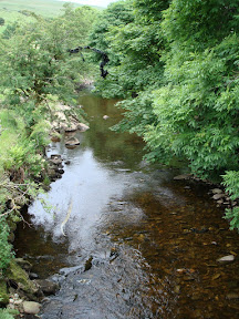 DSC05274.JPG