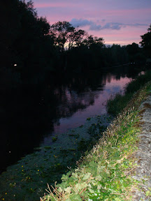 DSC05386.JPG