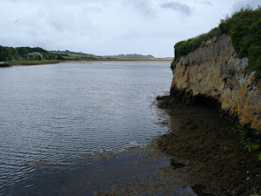 DSC05299.JPG
