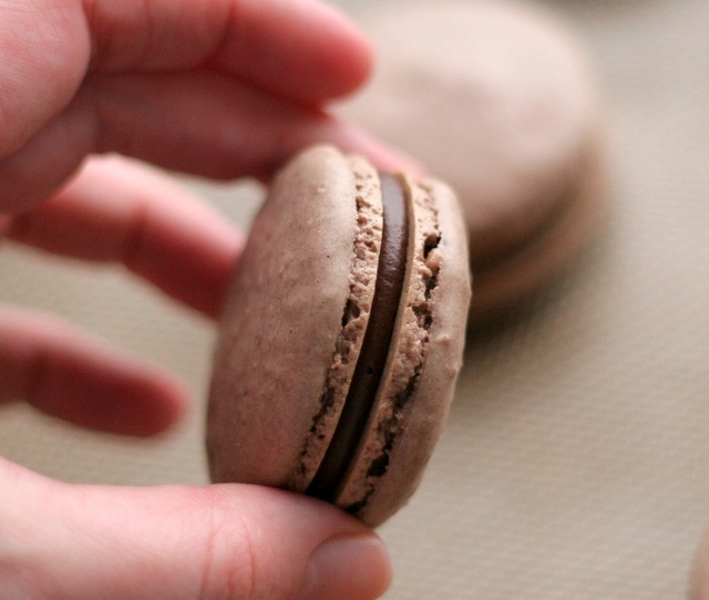 [chocolate macarons 3[1].jpg]