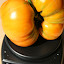 Tomato 'Kellogg's Breakfast'