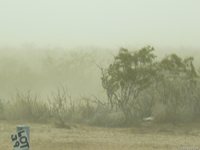[P11201242.jpg]
