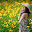 small_MG_3454.jpg