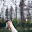 small_MG_0407.jpg