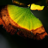 small_MG_2595.jpg