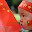 small_MG_9587.jpg