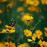 small_MG_3686.jpg