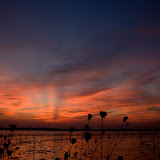 small_MG_5627_1.jpg