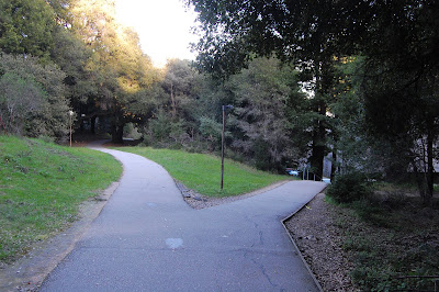 Finally, a Y in the road...Santa Cruz or Davis campus?