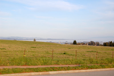 Typical vista from Santa Cruz campus.