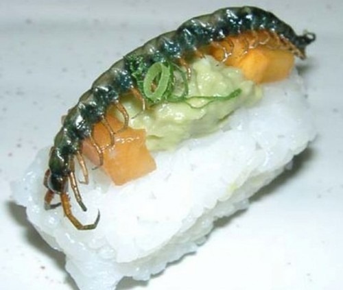 [insect_sushi_07-500x423[4].jpg]