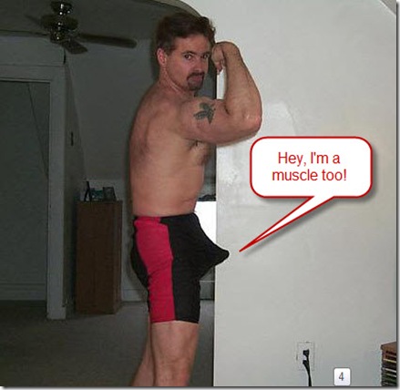 Flex ALL your Muscles Flex ALL your Muscles