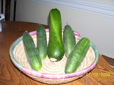 2nd harvest