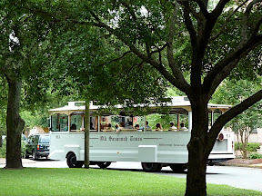 Trolley Tour