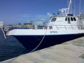 M/V Spree