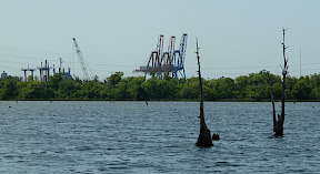 Bayou Bienvenue