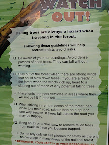 Trees Warning
