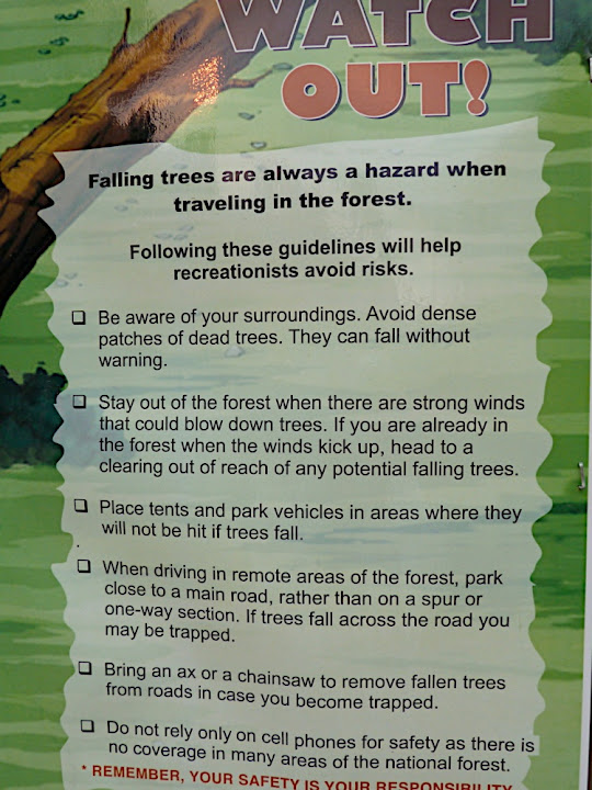 Trees Warning