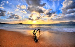 [01540_driftwood[3].jpg]